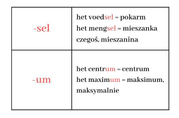 rodzajniki niderlandzkie: het = końcówki -sel -um